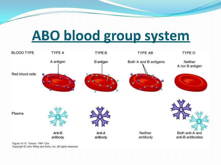  ABO blood group system 