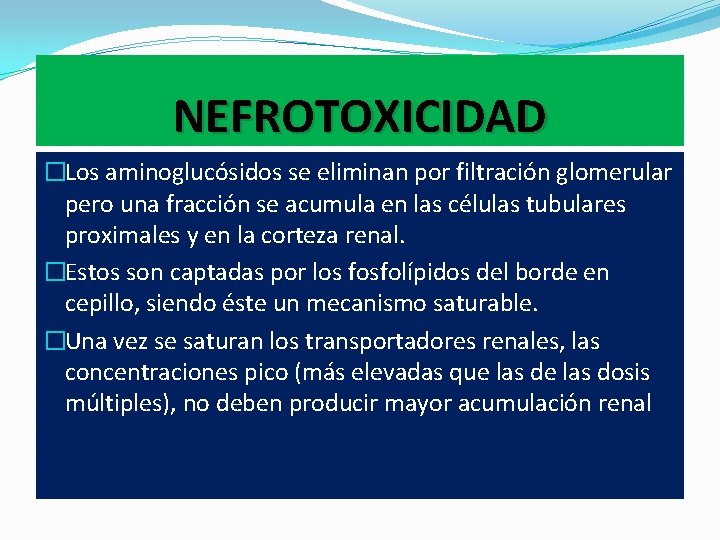 NEFROTOXICIDAD �Los aminoglucósidos se eliminan por filtración glomerular pero una fracción se acumula en