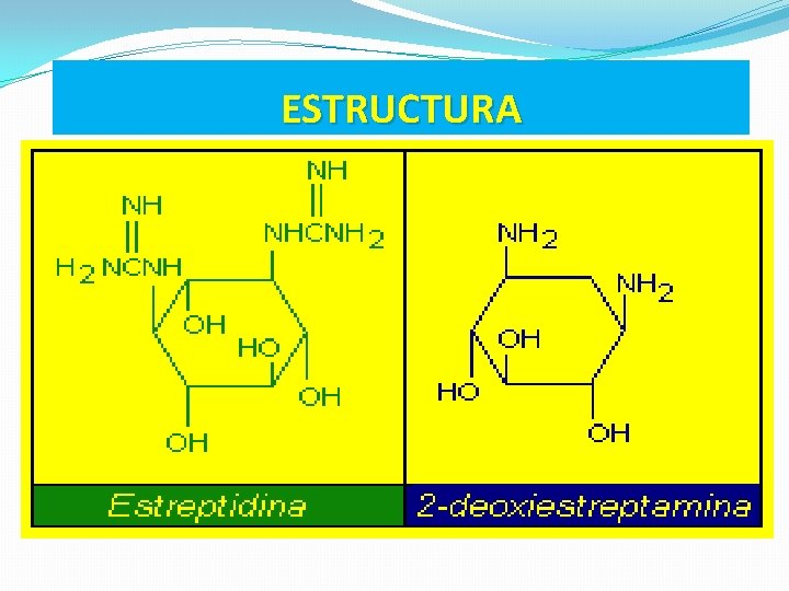ESTRUCTURA 