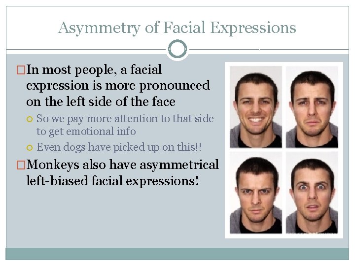 Asymmetry of Facial Expressions �In most people, a facial expression is more pronounced on