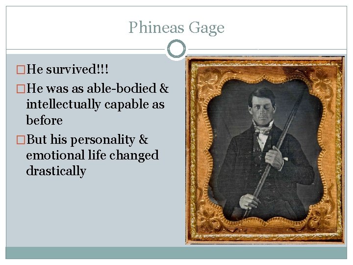 Phineas Gage �He survived!!! �He was as able-bodied & intellectually capable as before �But