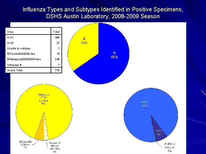 Influenza Types and Subtypes Identified in Positive Specimens, DSHS Austin Laboratory, 2008 -2009 Season