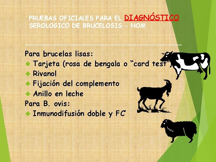 PRUEBAS OFICIALES PARA EL DIAGNÓSTICO SEROLOGICO DE BRUCELOSIS - NOM Para brucelas lisas: Tarjeta