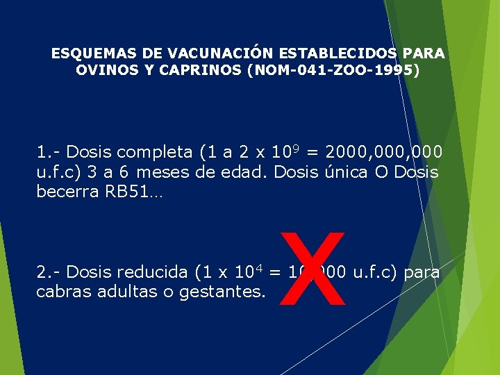 ESQUEMAS DE VACUNACIÓN ESTABLECIDOS PARA OVINOS Y CAPRINOS (NOM-041 -ZOO-1995) 1. - Dosis completa