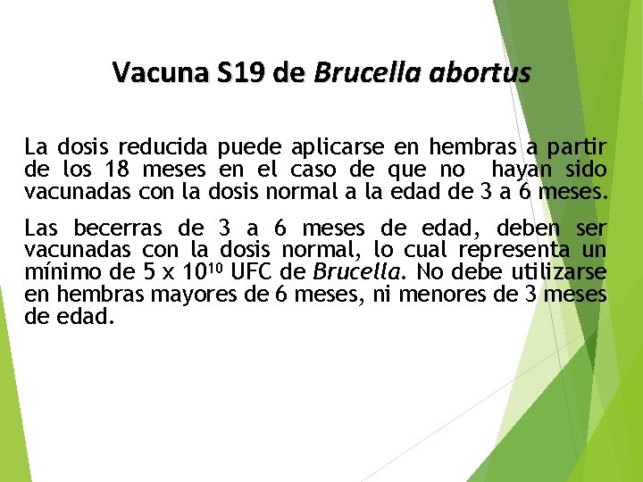 Vacuna S 19 de Brucella abortus La dosis reducida puede aplicarse en hembras a