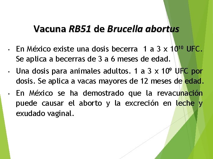 Vacuna RB 51 de Brucella abortus • • • En México existe una dosis