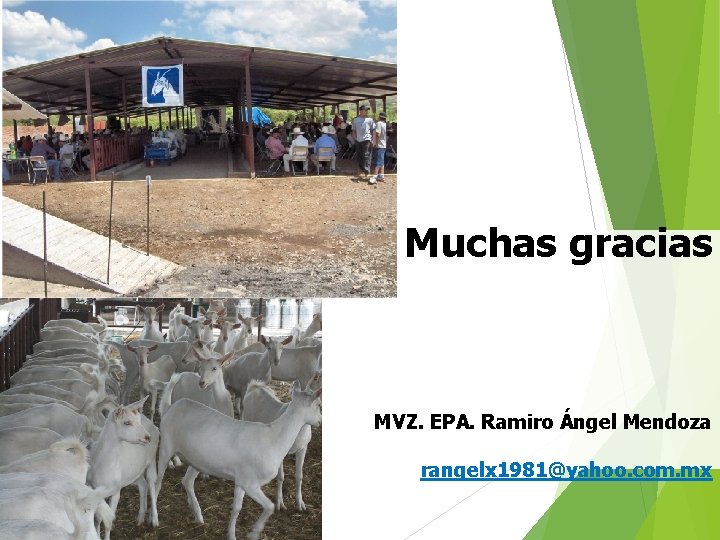 Muchas gracias MVZ. EPA. Ramiro Ángel Mendoza rangelx 1981@yahoo. com. mx 