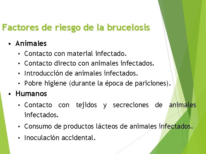 Factores de riesgo de la brucelosis • Animales Contacto con material infectado. • Contacto