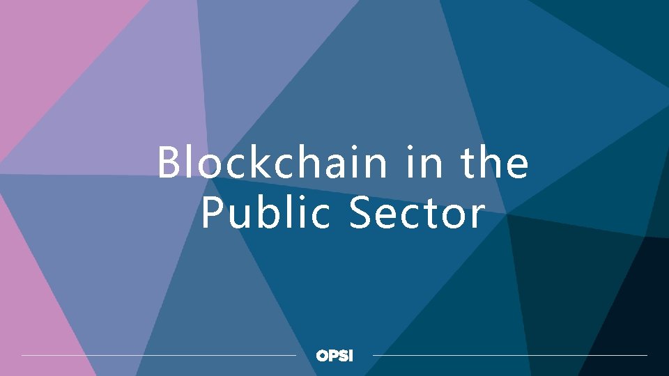 Blockchain in the Public Sector 