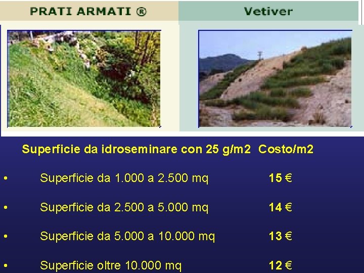 Superficie da idroseminare con 25 g/m 2 Costo/m 2 • Superficie da 1. 000