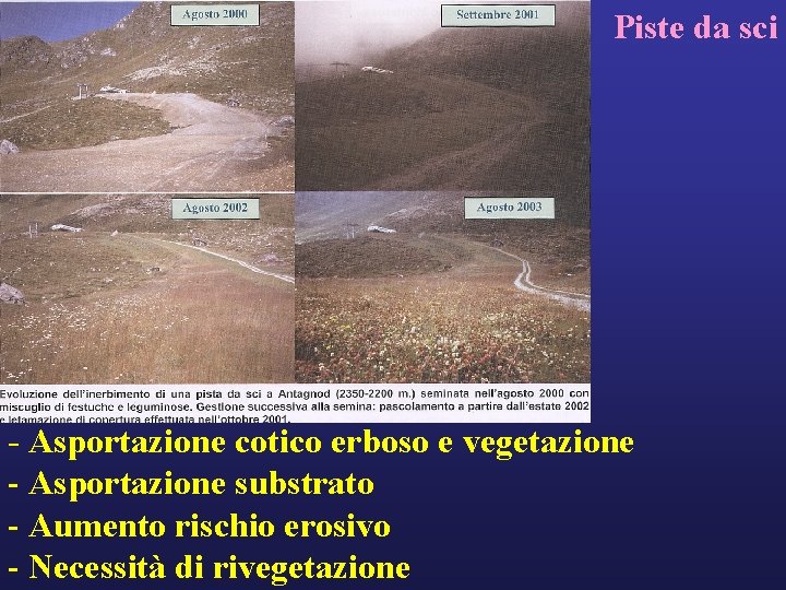 Piste da sci - Asportazione cotico erboso e vegetazione - Asportazione substrato - Aumento