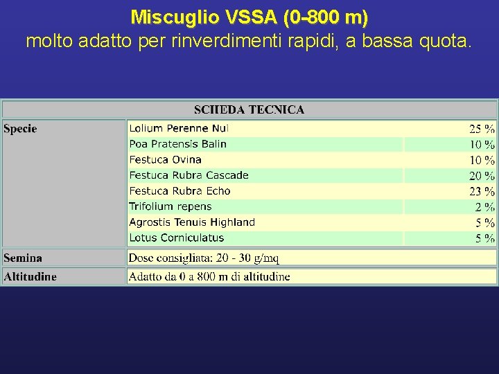 Miscuglio VSSA (0 -800 m) molto adatto per rinverdimenti rapidi, a bassa quota. 