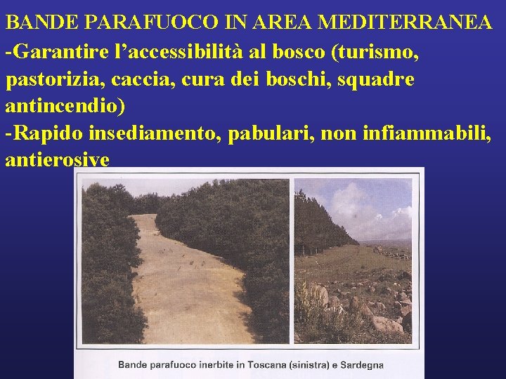 BANDE PARAFUOCO IN AREA MEDITERRANEA -Garantire l’accessibilità al bosco (turismo, pastorizia, caccia, cura dei