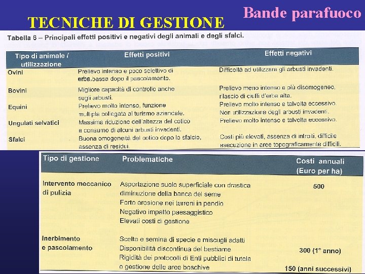 TECNICHE DI GESTIONE Bande parafuoco 