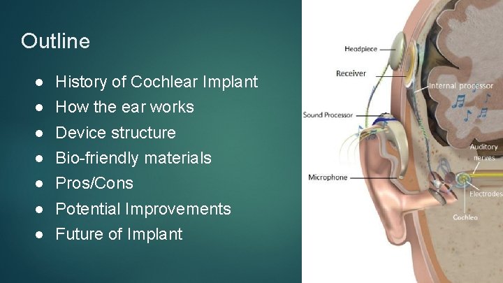 Outline ● ● ● ● History of Cochlear Implant How the ear works Device