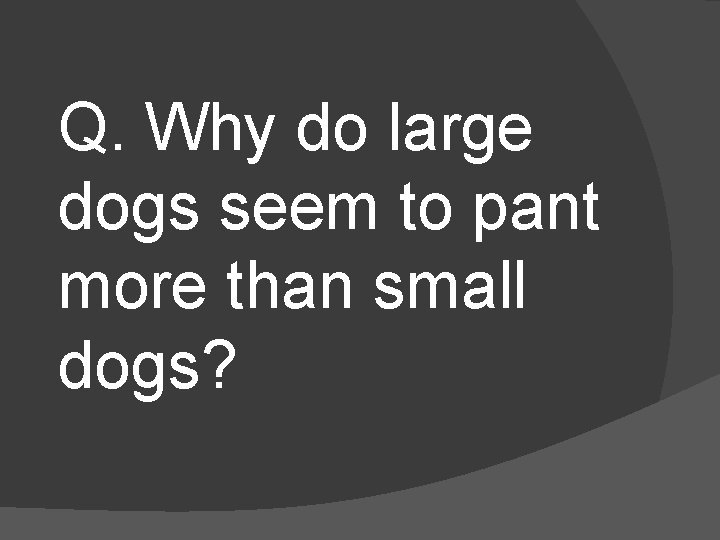 Q. Why do large dogs seem to pant more than small dogs? 