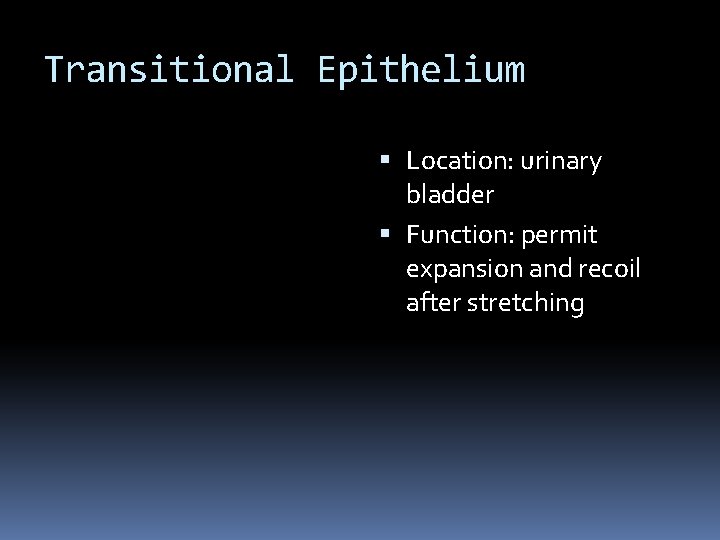 Transitional Epithelium Location: urinary bladder Function: permit expansion and recoil after stretching 