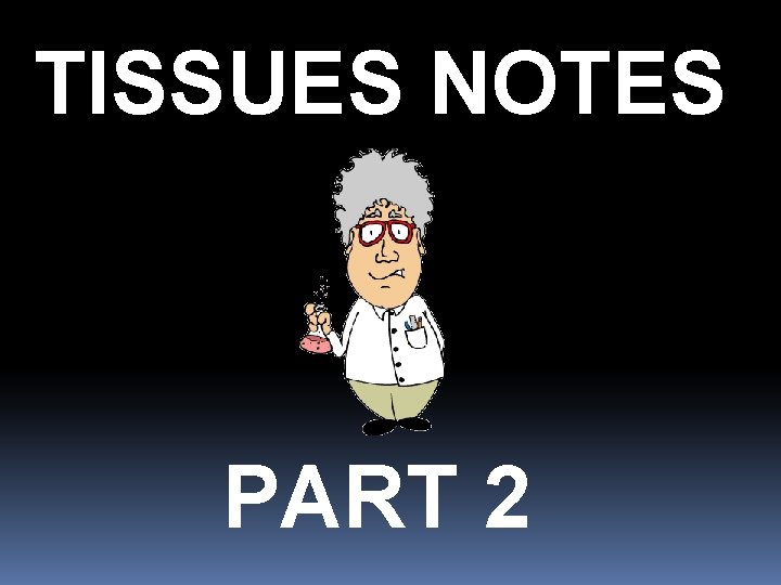 TISSUES NOTES PART 2 