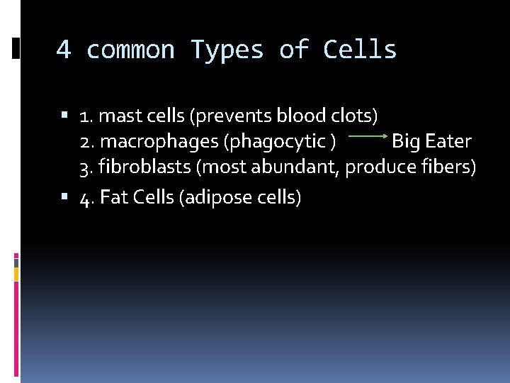 4 common Types of Cells 1. mast cells (prevents blood clots) 2. macrophages (phagocytic