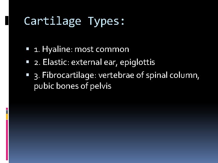 Cartilage Types: 1. Hyaline: most common 2. Elastic: external ear, epiglottis 3. Fibrocartilage: vertebrae