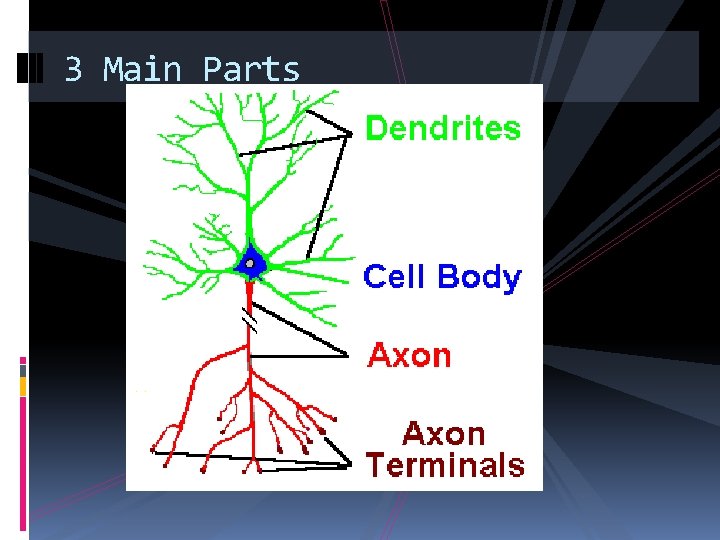 3 Main Parts 