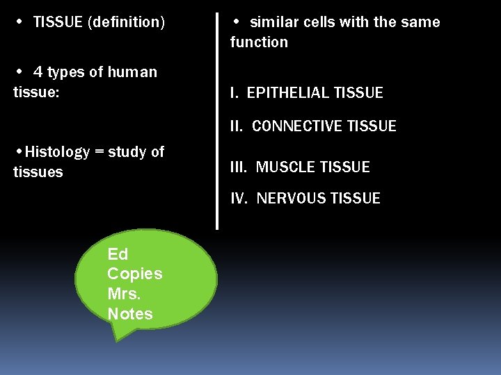  • TISSUE (definition) • 4 types of human tissue: • similar cells with