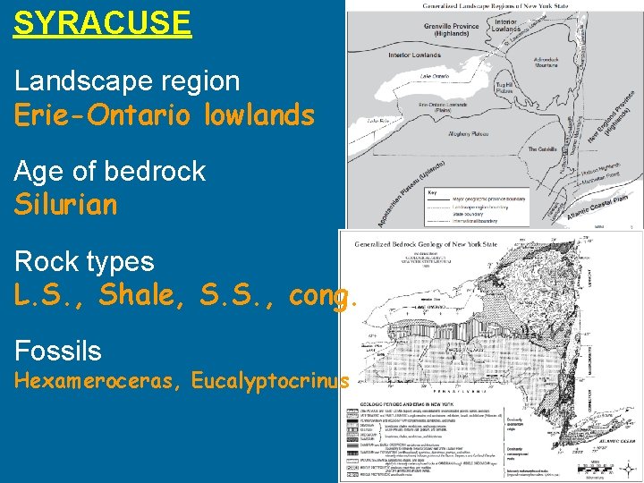 SYRACUSE Landscape region Erie-Ontario lowlands Age of bedrock Silurian Rock types L. S. , SYRACUSE Landscape region Erie-Ontario lowlands Age of bedrock Silurian Rock types L. S. ,