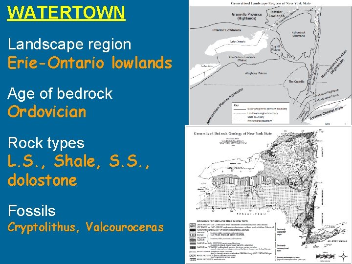 WATERTOWN Landscape region Erie-Ontario lowlands Age of bedrock Ordovician Rock types L. S. , WATERTOWN Landscape region Erie-Ontario lowlands Age of bedrock Ordovician Rock types L. S. ,