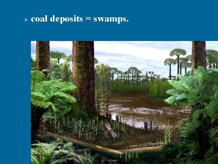 Ø coal deposits = swamps. 51 