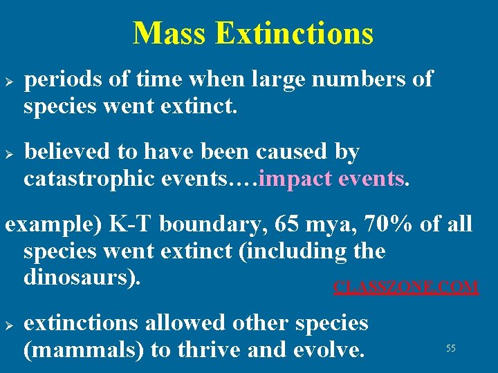 Mass Extinctions Ø Ø periods of time when large numbers of species went extinct.