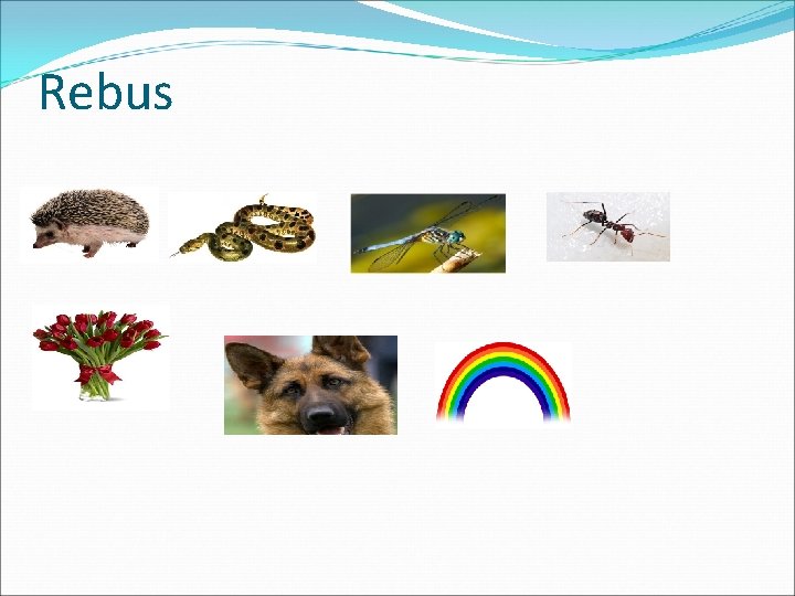 Rebus 