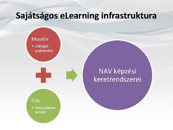 Sajátságos e. Learning infrastruktura Moodle • Adóügyi szakterület NAV képzési keretrendszerei Ilias • Vámszakmai