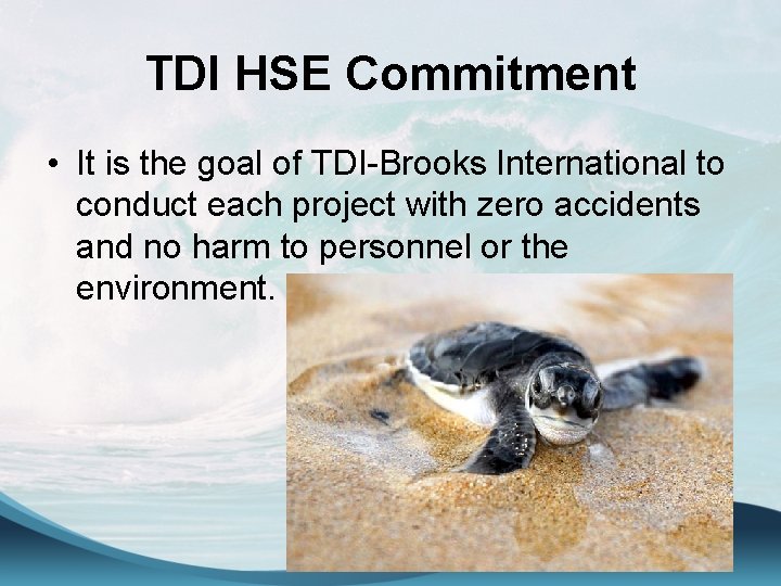 TDI HSE Commitment • It is the goal of TDI-Brooks International to conduct each