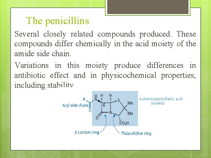 The penicillins Several closely related compounds produced. These compounds differ chemically in the acid