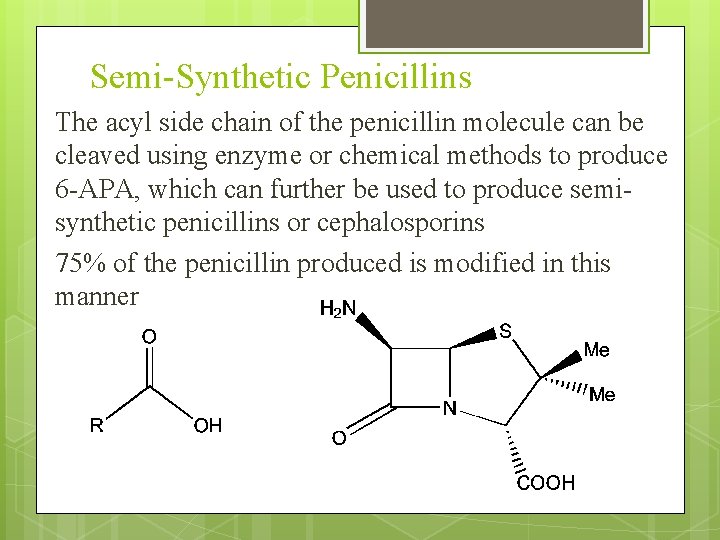 Semi-Synthetic Penicillins The acyl side chain of the penicillin molecule can be cleaved using