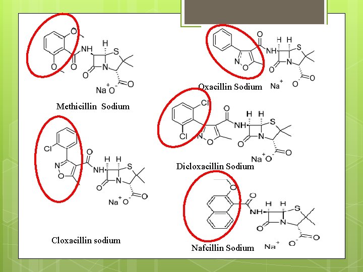 Oxacillin Sodium Methicillin Sodium Dicloxacillin Sodium Cloxacillin sodium Nafcillin Sodium 