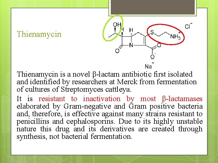 Thienamycin is a novel β-lactam antibiotic first isolated and identified by researchers at Merck