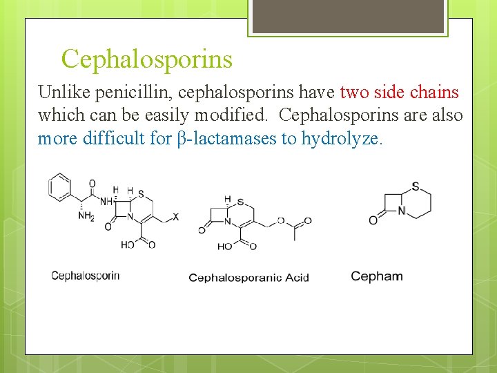 Cephalosporins Unlike penicillin, cephalosporins have two side chains which can be easily modified. Cephalosporins