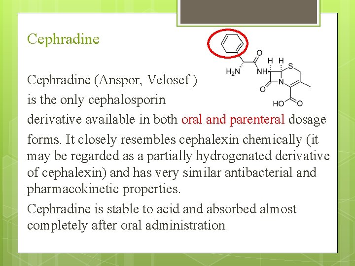 Cephradine (Anspor, Velosef ) is the only cephalosporin derivative available in both oral and