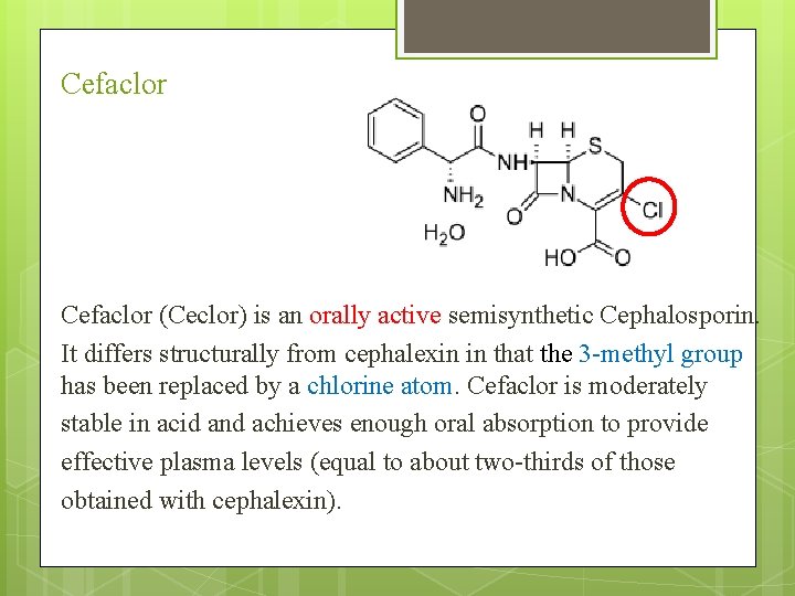 Cefaclor (Ceclor) is an orally active semisynthetic Cephalosporin. It differs structurally from cephalexin in