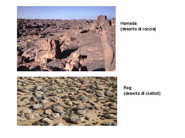 Hamada (deserto di roccia) Reg (deserto di ciottoli) Hamada (deserto di roccia) Reg (deserto di ciottoli)