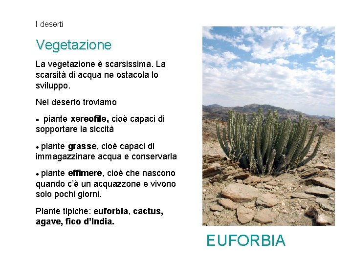 I deserti Vegetazione La vegetazione è scarsissima. La scarsità di acqua ne ostacola lo I deserti Vegetazione La vegetazione è scarsissima. La scarsità di acqua ne ostacola lo