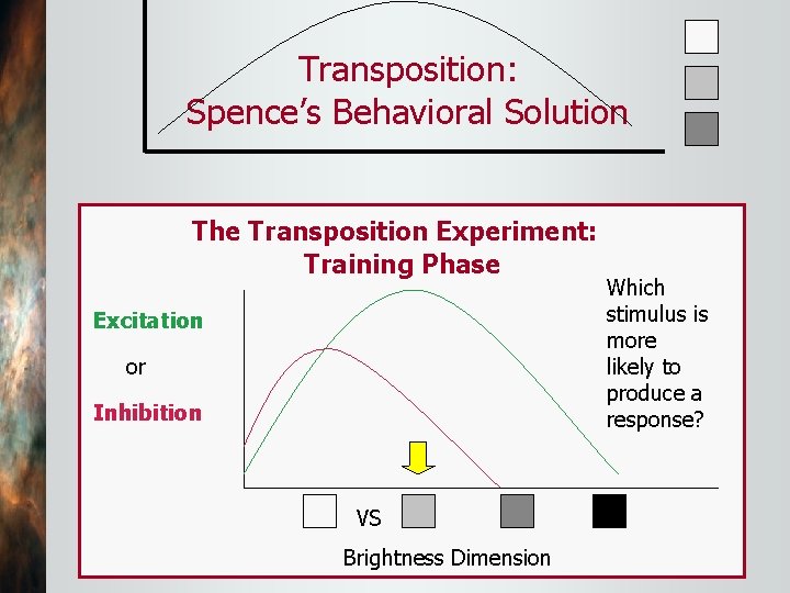 Transposition: Spence’s Behavioral Solution The Transposition Experiment: Training Phase Excitation or Inhibition VS Brightness