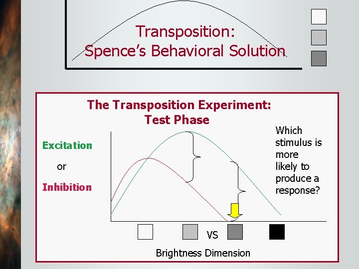 Transposition: Spence’s Behavioral Solution The Transposition Experiment: Test Phase Excitation or Inhibition VS Brightness