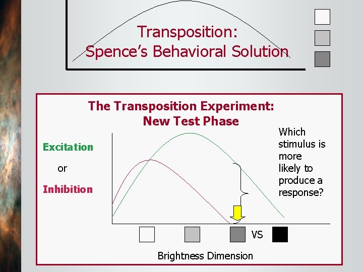 Transposition: Spence’s Behavioral Solution The Transposition Experiment: New Test Phase Excitation or Inhibition VS