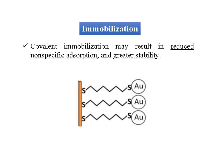 Immobilization ü Covalent immobilization may result in reduced nonspecific adsorption, and greater stability. 