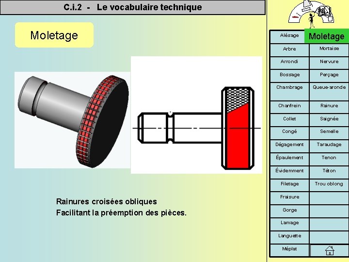 C. i. 2 - Le vocabulaire technique Moletage Rainures croisées obliques Facilitant la préemption