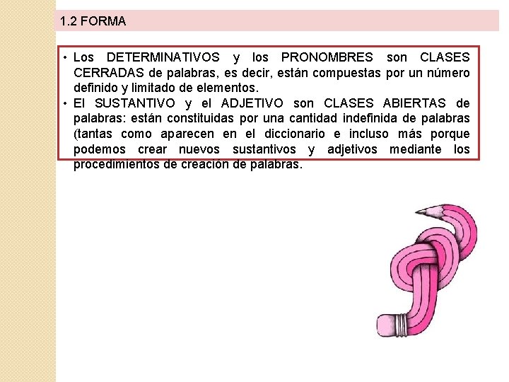 1. 2 FORMA • Los DETERMINATIVOS y los PRONOMBRES son CLASES CERRADAS de palabras,