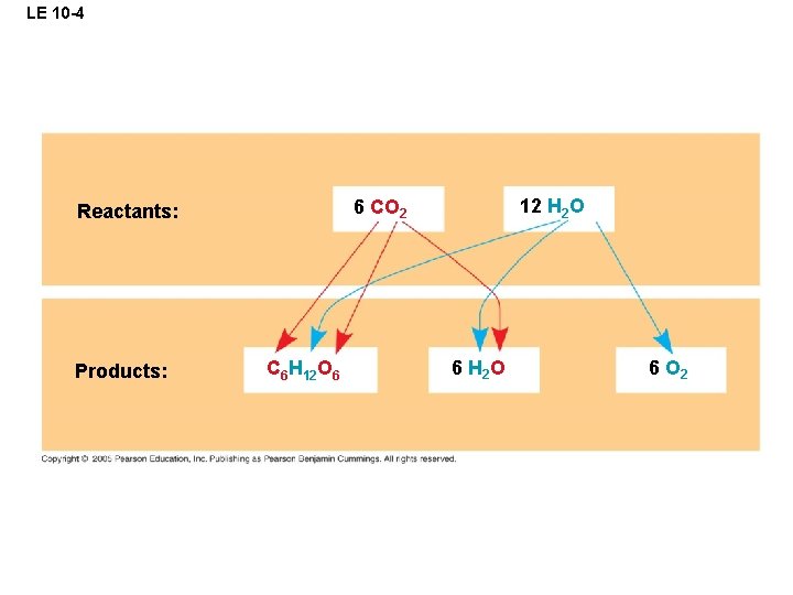 LE 10 -4 Products: 12 H 2 O 6 CO 2 Reactants: C 6