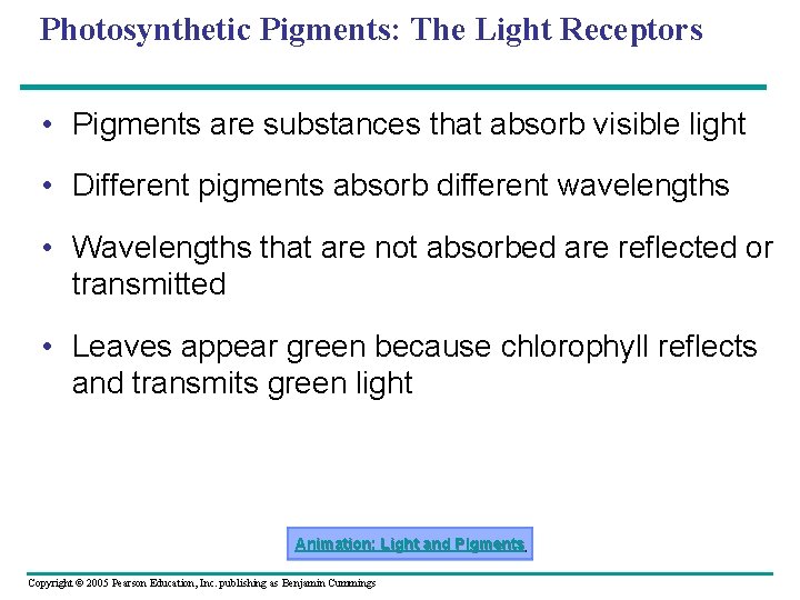 Photosynthetic Pigments: The Light Receptors • Pigments are substances that absorb visible light •